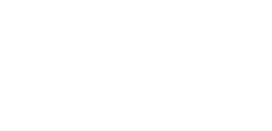 LOGO-BIA-CONSULTING-BLANC